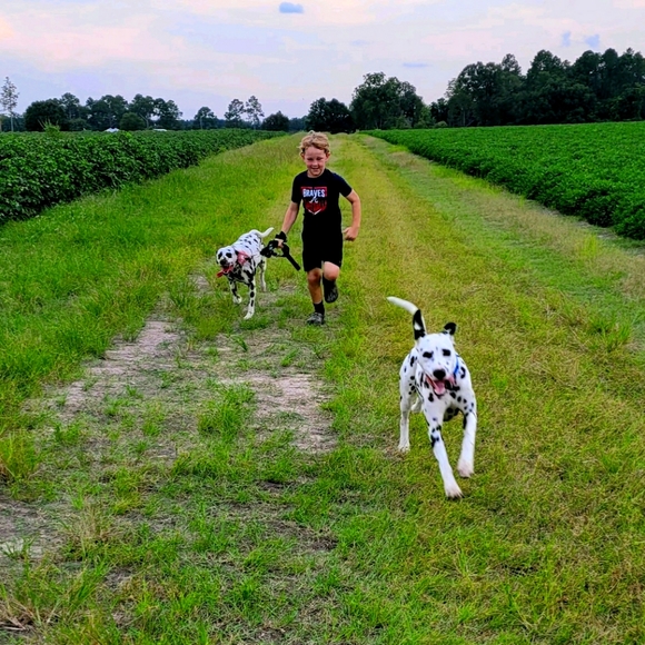 Meet your Posher, William - Picture 1 of 3